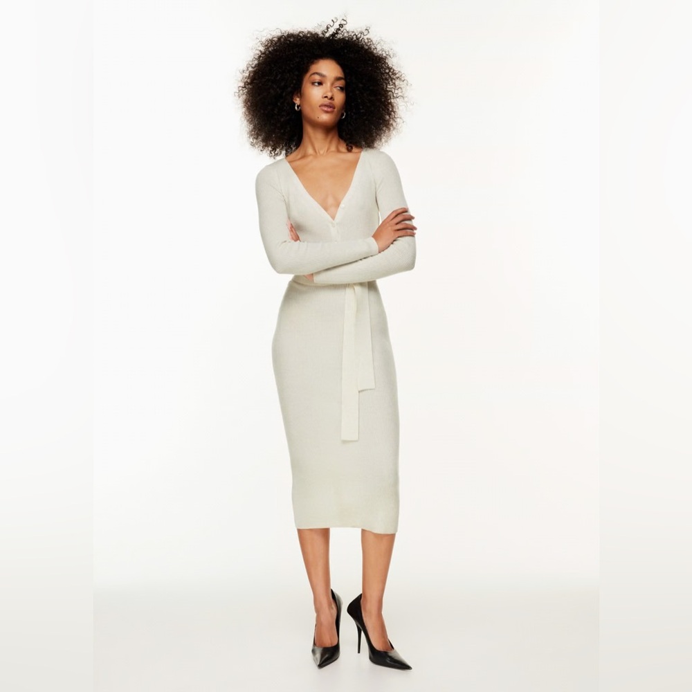 Aritzia The Group Henley Merino Wool Sweater Dress